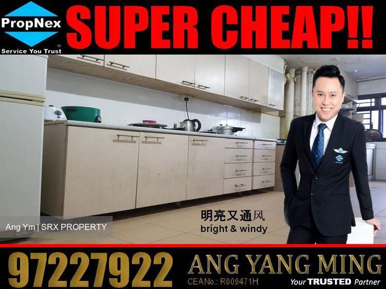 Blk 205 MARSILING DRIVE (Woodlands), HDB 4 Rooms #183398662